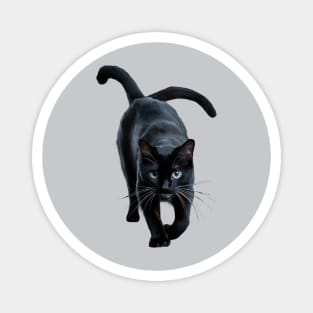 Black Cat Double Tail Magnet